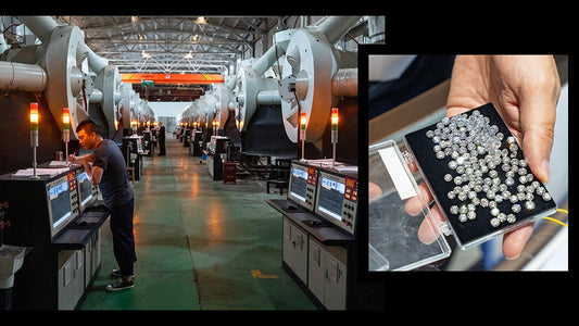 Where Moisy is going